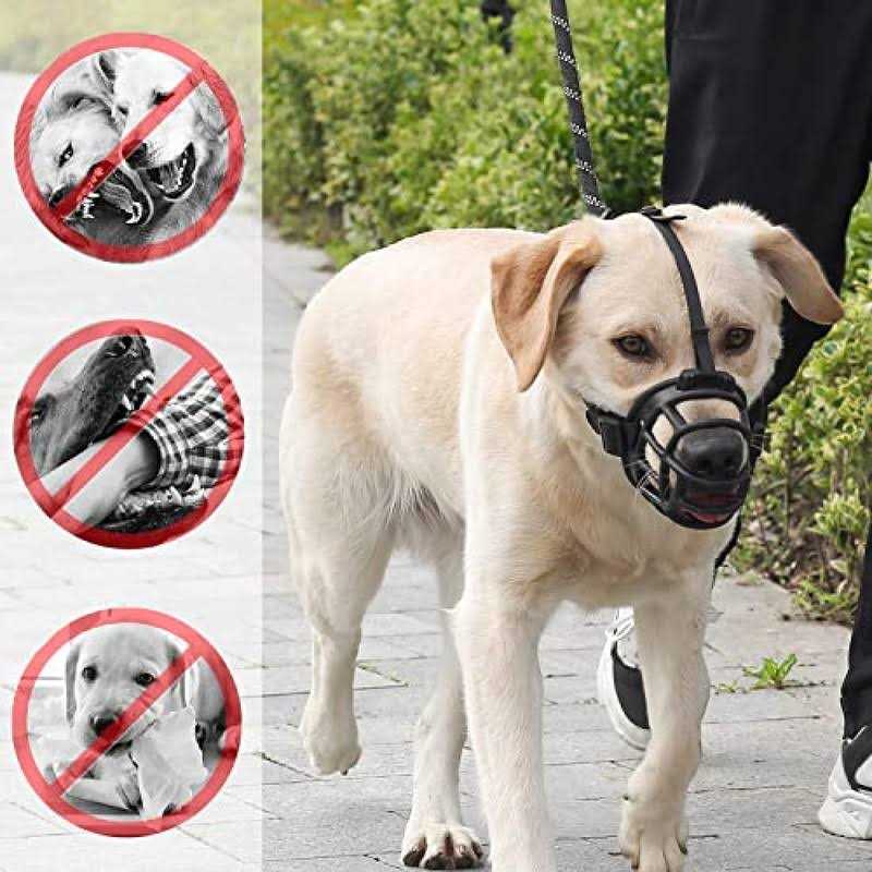 3pcs Silicone Dog Muzzle Anti Barking Chewing Adjustable I394724
