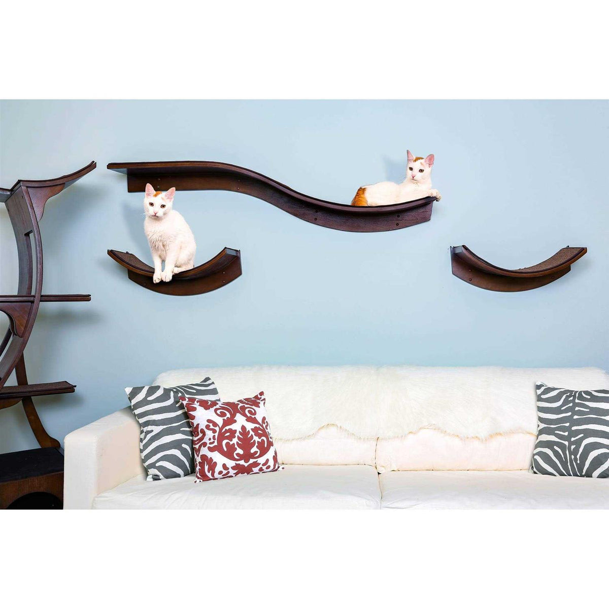 Cat Shelf V356