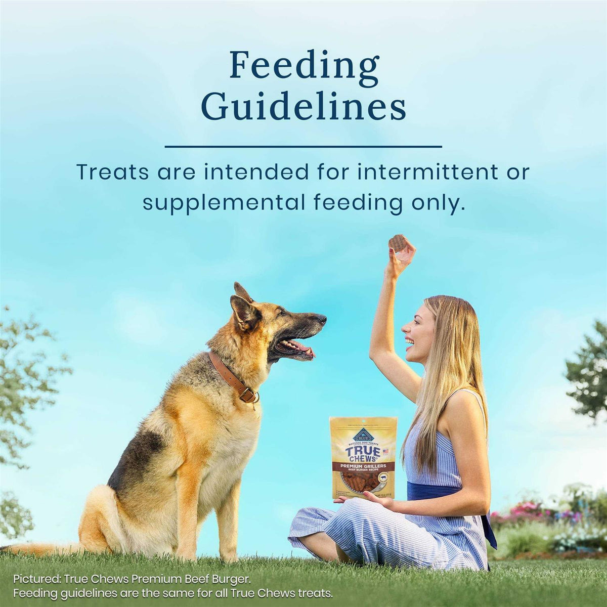 Natural Steak Dog Treats O36999