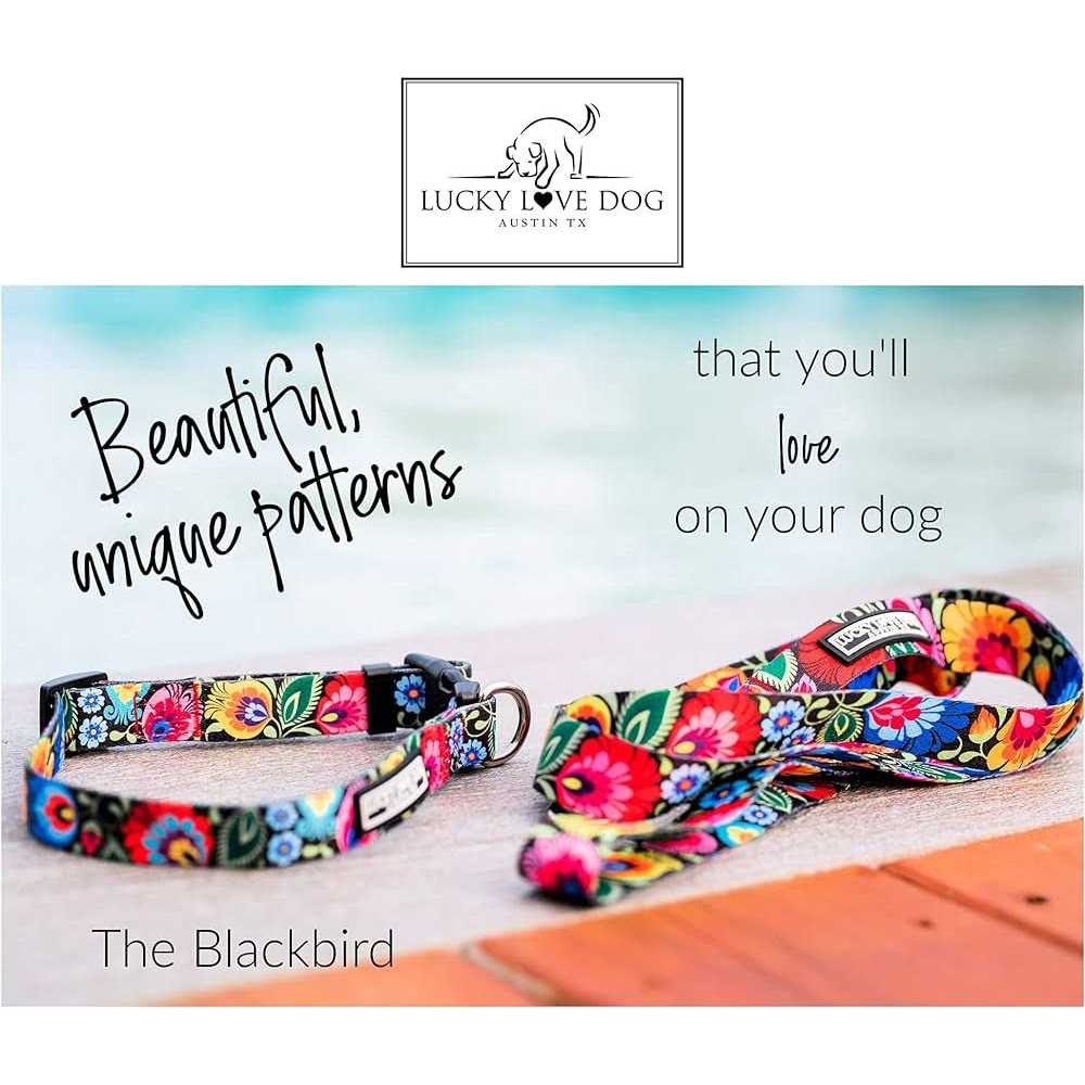 Martingale Dog Collar No Slip Z24190