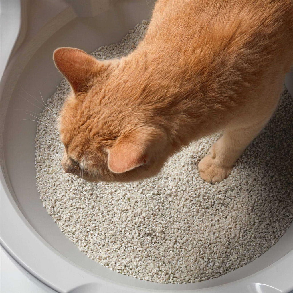 Washable Granules H7264