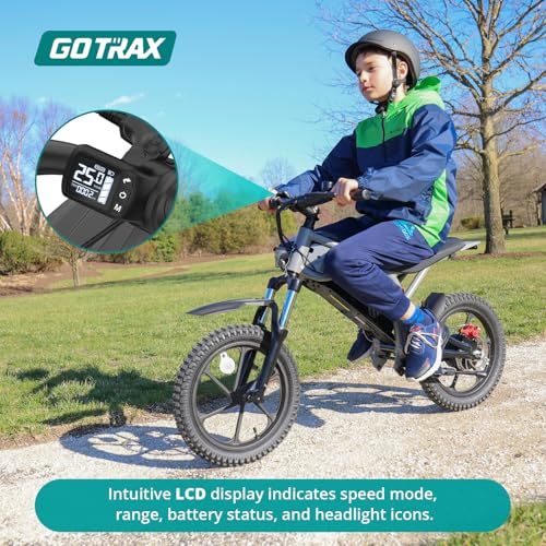 Black 16" Electric Dirt Bike N857272