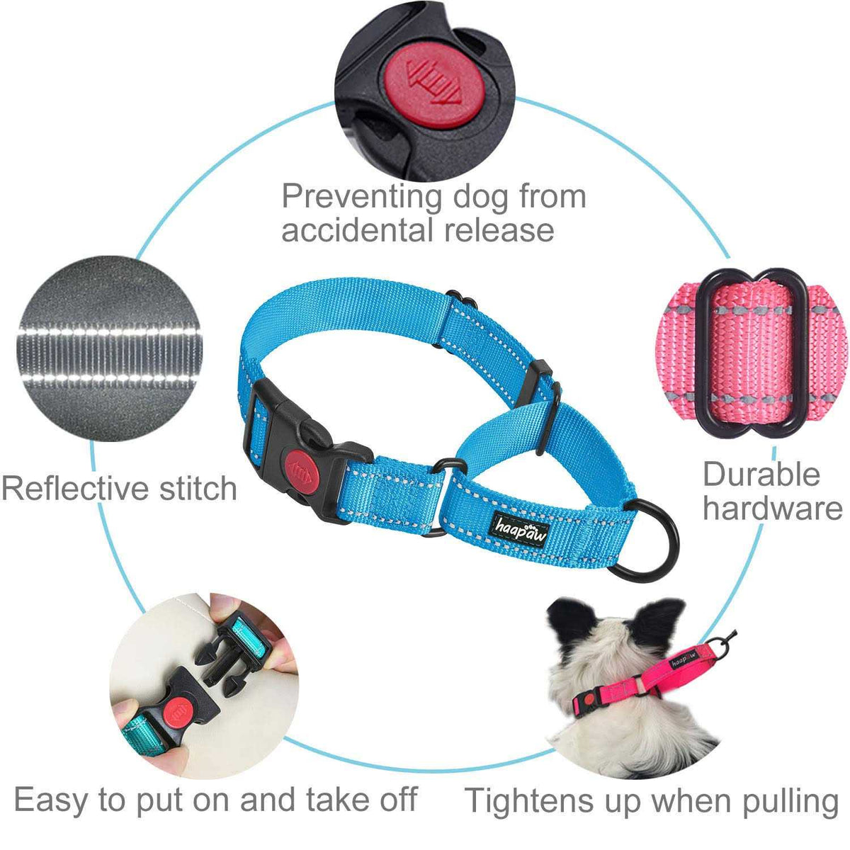 2 Packs Reflective Martingale Dog Collar K666030