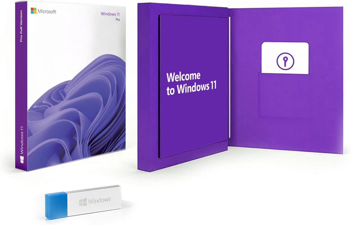 Window 11 Pro USB Flash 1 PC English International 2022 Version Z19261
