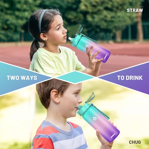32oz 18/10 Stainless Steel Insulated Water Bottle with Removable Straw and Spout Lid S362359