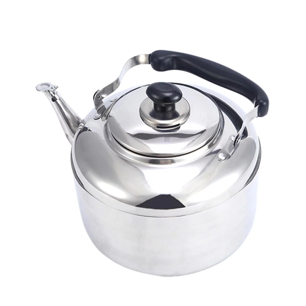 Stainless Steel 5L Stovetop Whistling Kettle L69155