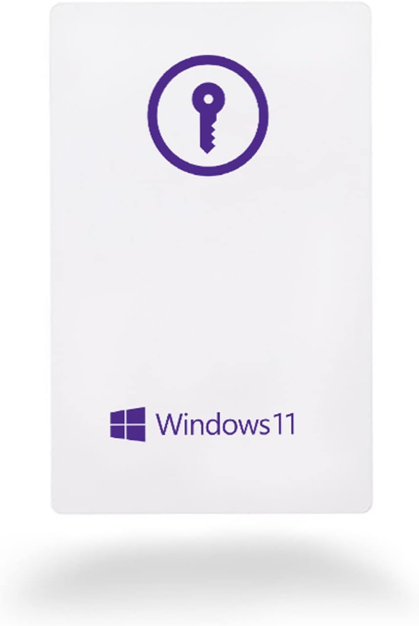 Window 11 Pro USB Flash 1 PC English International 2022 Version Z19261