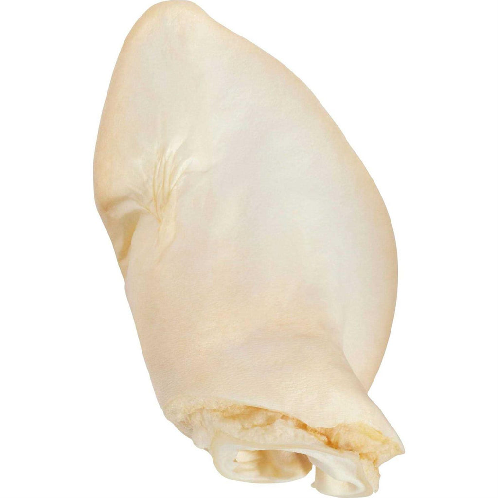 Cow Ears O20614