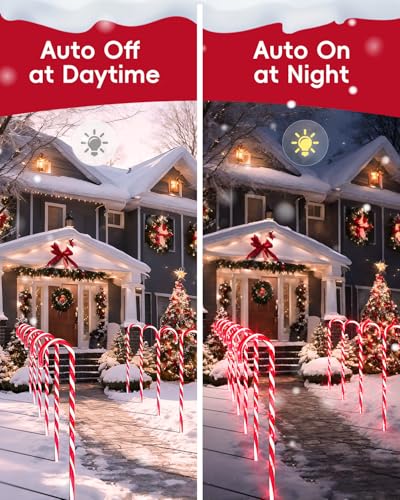24 Pack 22" Solar Candy Cane Lights C546503