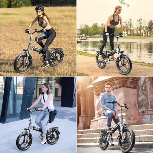 20" Fat Tire 750W 48V 12.8AH/15AH/20AH Battery 7-Speed Folding Electric Bike Z79614