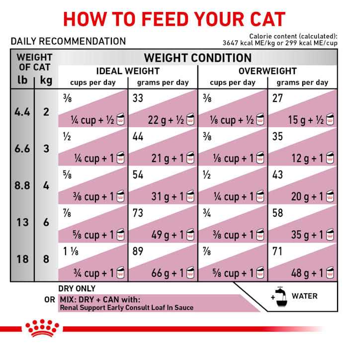 Adult Dry Cat Food Y303070