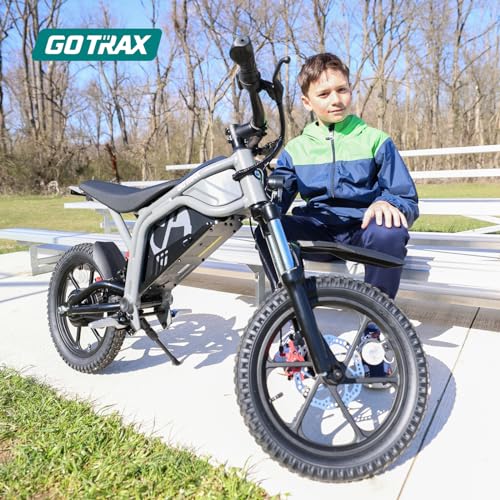 Black 16" Electric Dirt Bike N857272