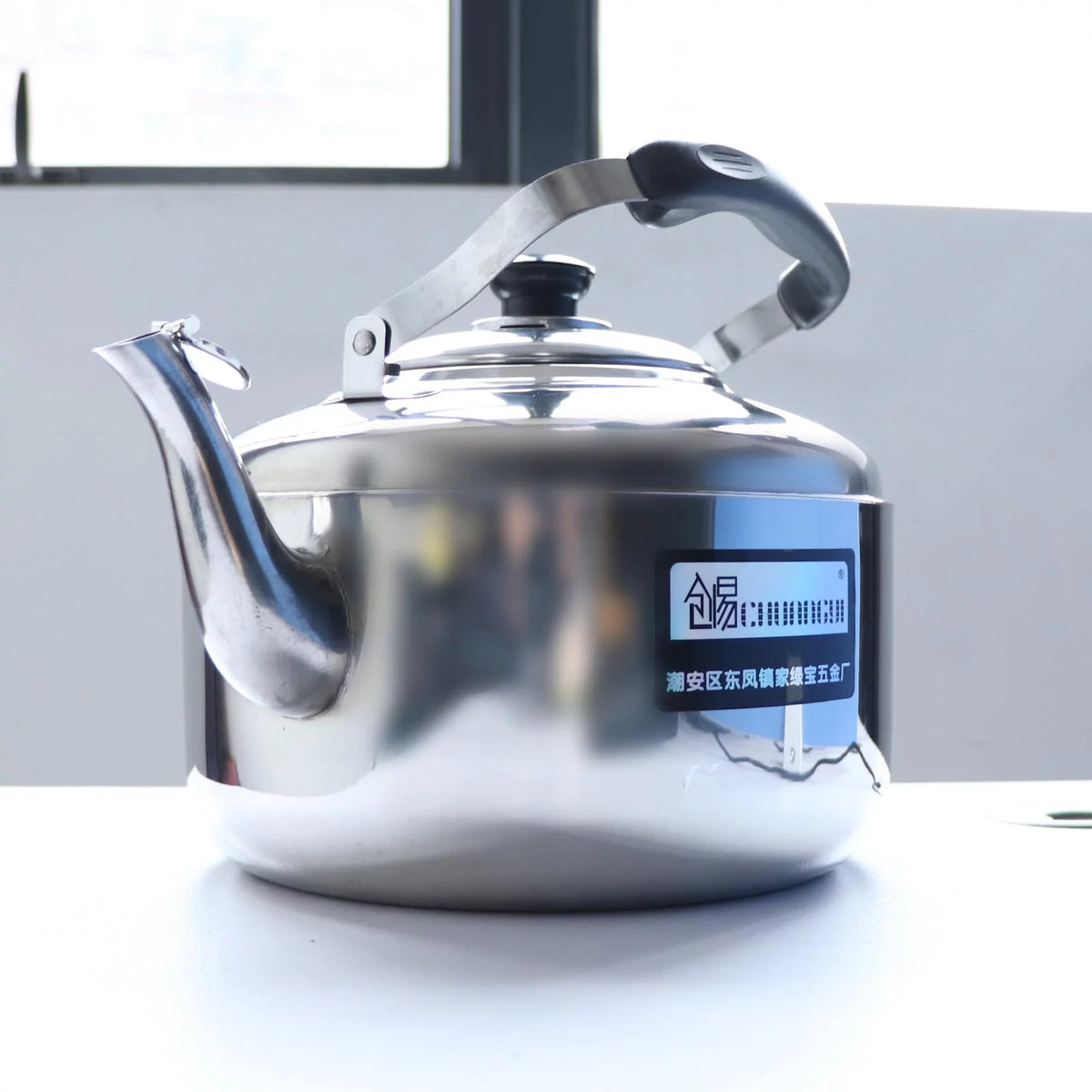 Stainless Steel 5L Stovetop Whistling Kettle L69155