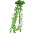 Floating Moss with Roots M135