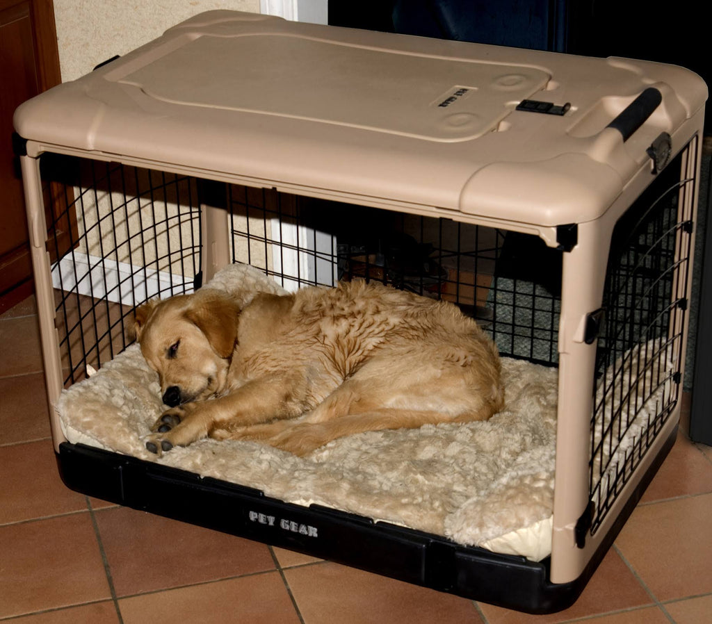 Medium Steel Dog Crate with Pad B364
