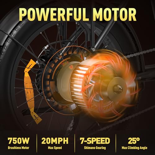20" x4.0 Fat Tire Foldable Electric Bicycle with 750W Motor, 48V 12AH Removable Battery, 7 Gears C696909