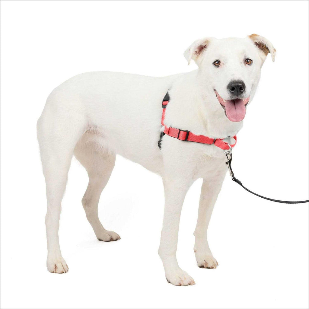 Easy Walk Harness Q44757