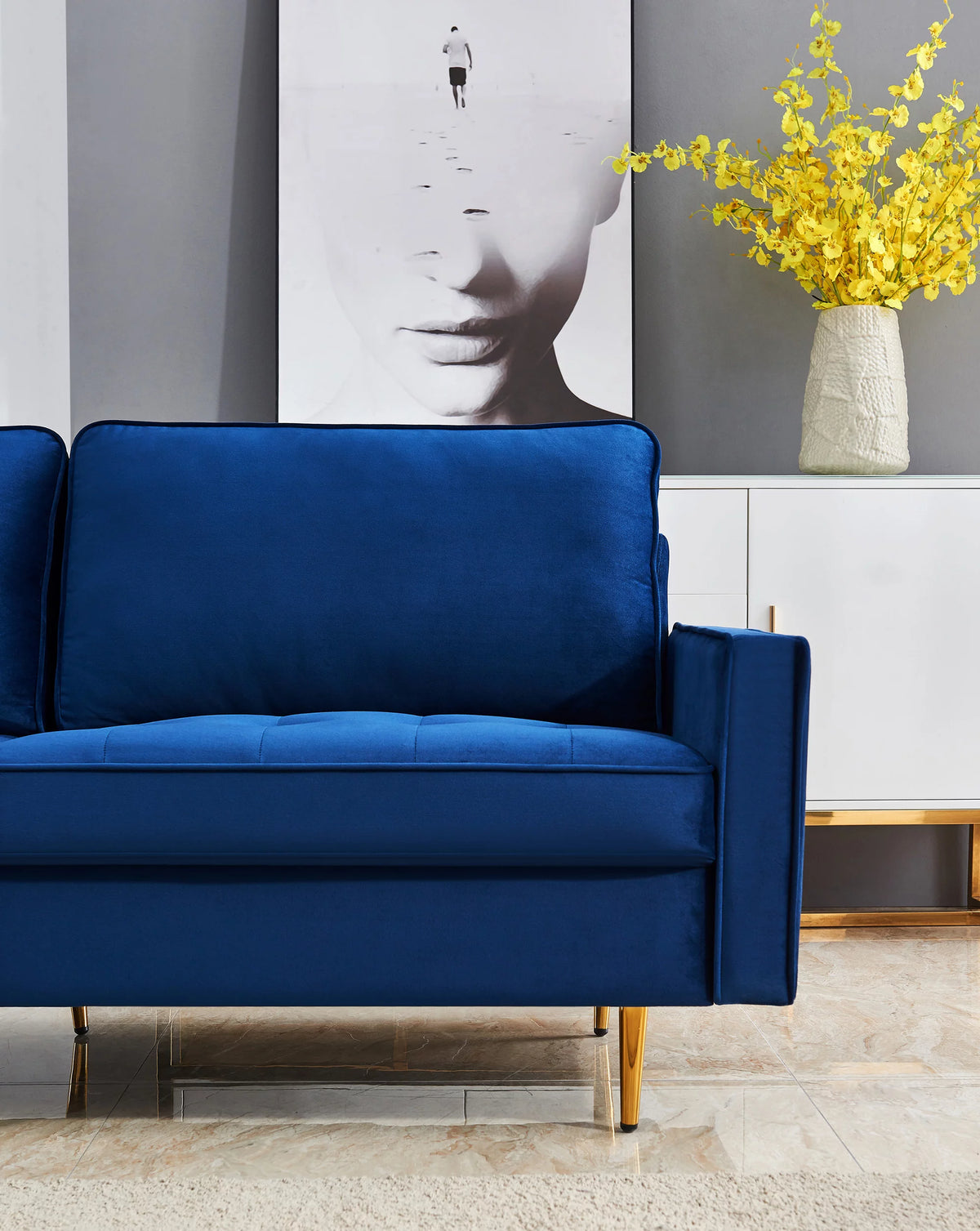 Velvet Fabric Sofa G710