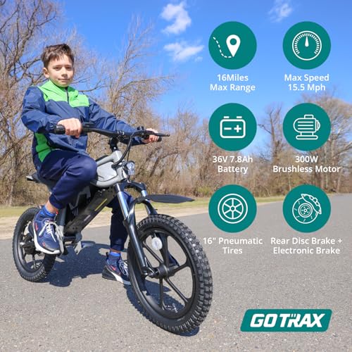 Black 16" Electric Dirt Bike N857272