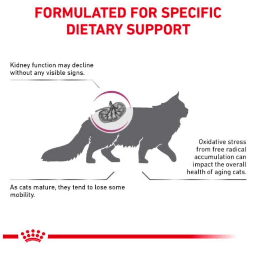 Adult Dry Cat Food Y303070