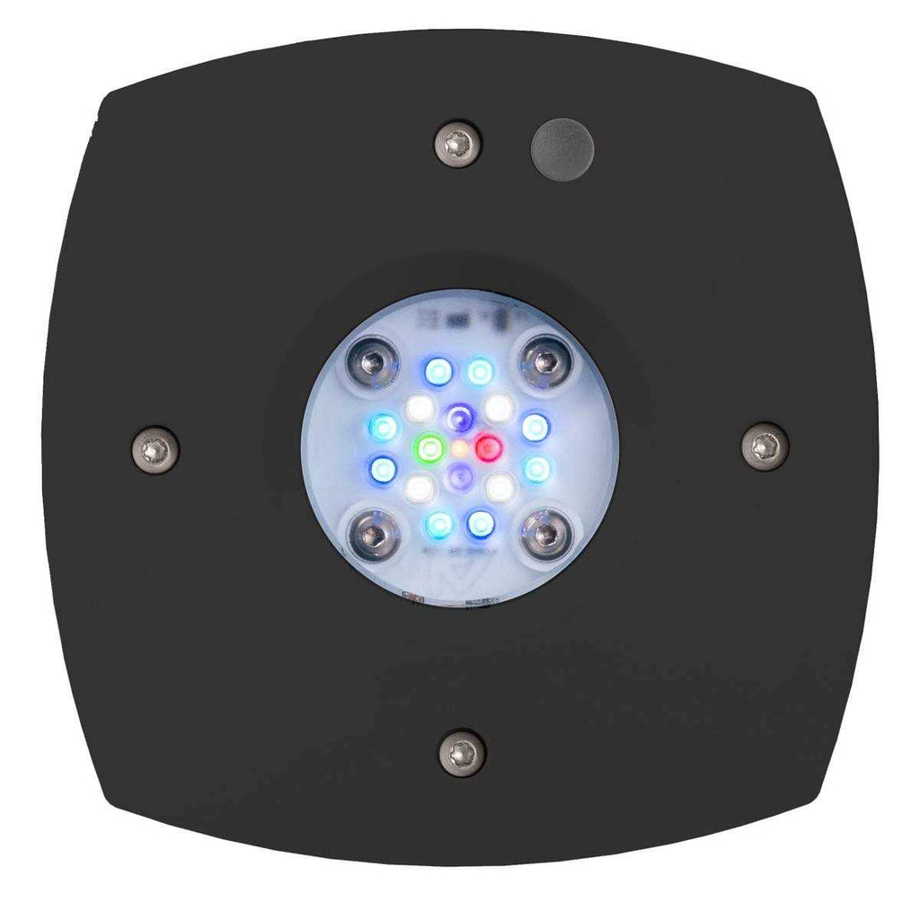 Prime 16HD Reef LED O167333