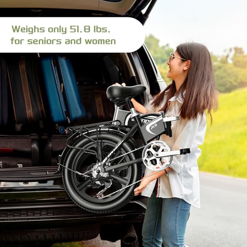 20" Fat Tire 750W 48V 12.8AH/15AH/20AH Battery 7-Speed Folding Electric Bike Z79614