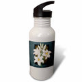 21 oz Sports Water Bottle D761630