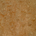 Marmoleum Click Cinch LOC 12x22 x 36x22 W503
