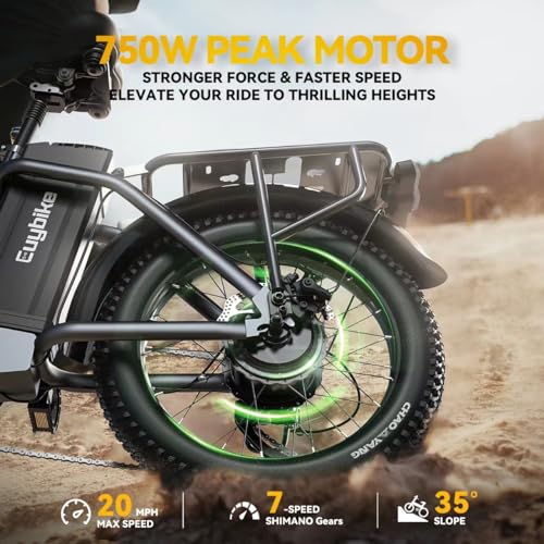 20" Fat Tire 750W 48V 12.8AH/15AH/20AH Battery 7-Speed Folding Electric Bike Z79614
