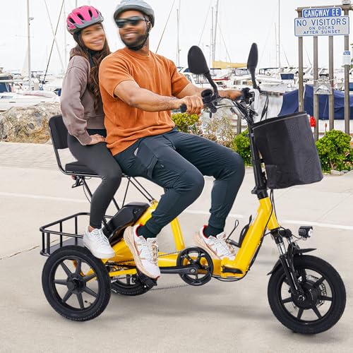350W Folding Electric Tricycle with 480Wh Removable Battery and 2 Seats Y98278