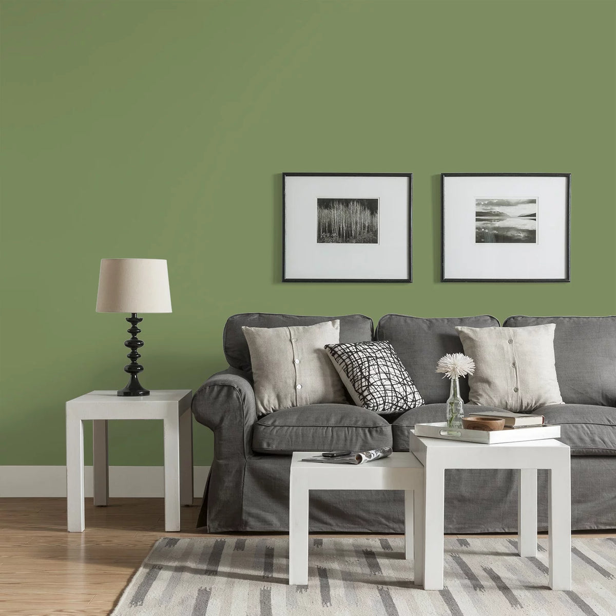 Moss Point Green Eggshell Interior Paint and Primer, 1 Gallon V710