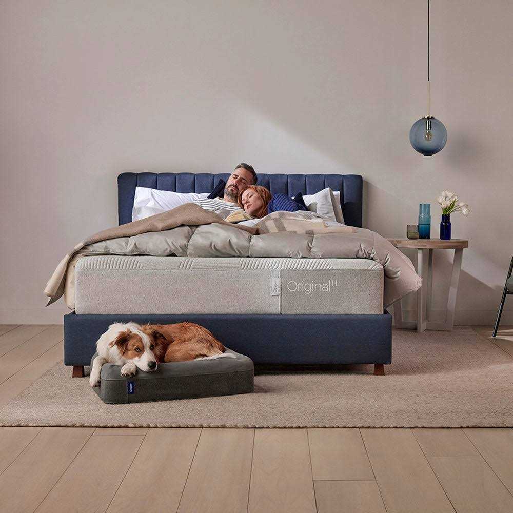 Casper Dog Bed D8419