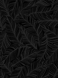 Black Rainforest Canopy Wallpaper H173057