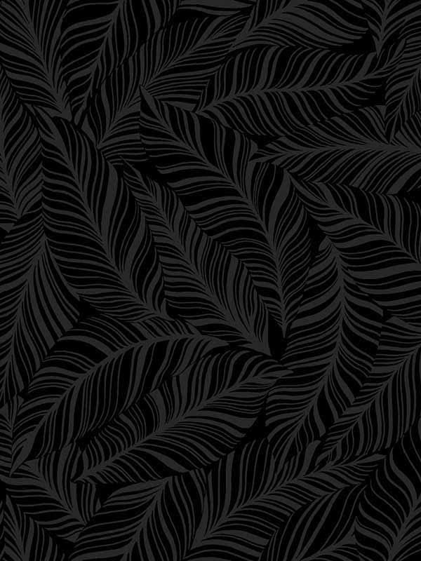 Black Rainforest Canopy Wallpaper H173057