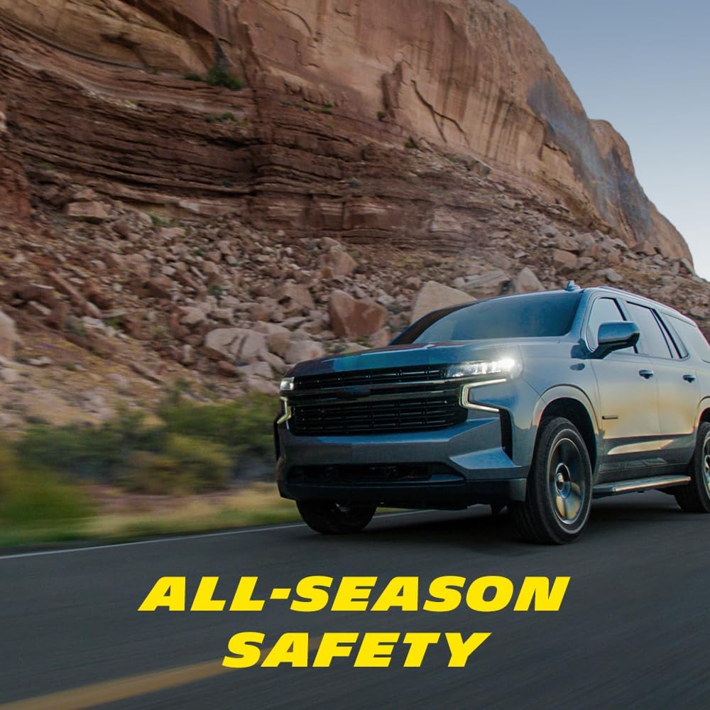 265/55R20/XL 113H All-Season Car Tire H59342