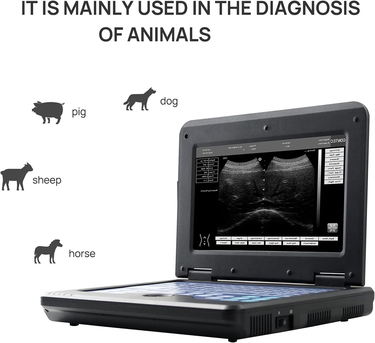 Portable Veterinary Ultrasound Scanner C435