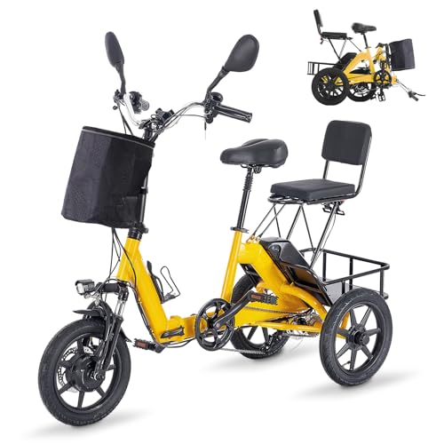 350W Folding Electric Tricycle with 480Wh Removable Battery and 2 Seats Y98278