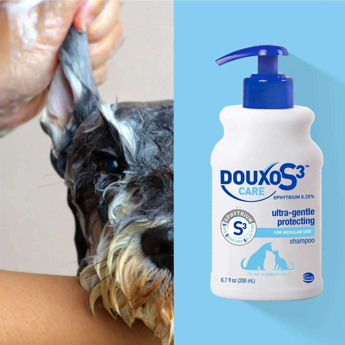 Douxo S3 Care Shampoo 200ml V8076
