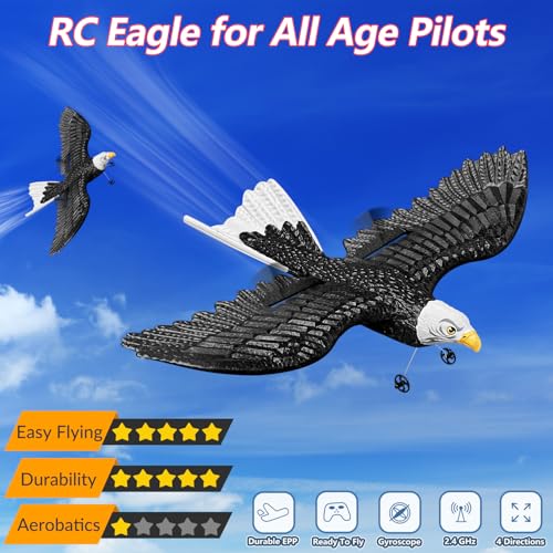 2 CH RC Plane Ready to Fly M355060
