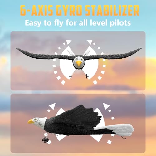 2 CH RC Plane Ready to Fly M355060