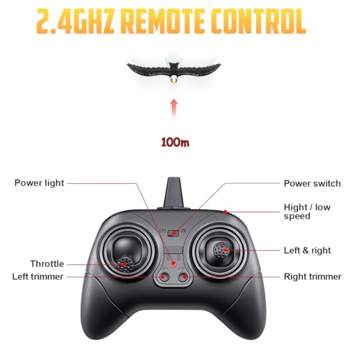 2 CH RC Plane Ready to Fly M355060