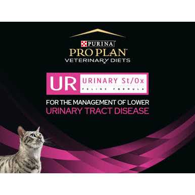 Wet Cat Food Q13172