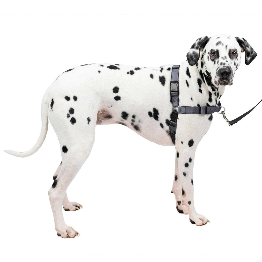 Easy Walk Harness Q44757