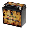 12 Volts 12 Ah 200 Cca ATV Battery F152926