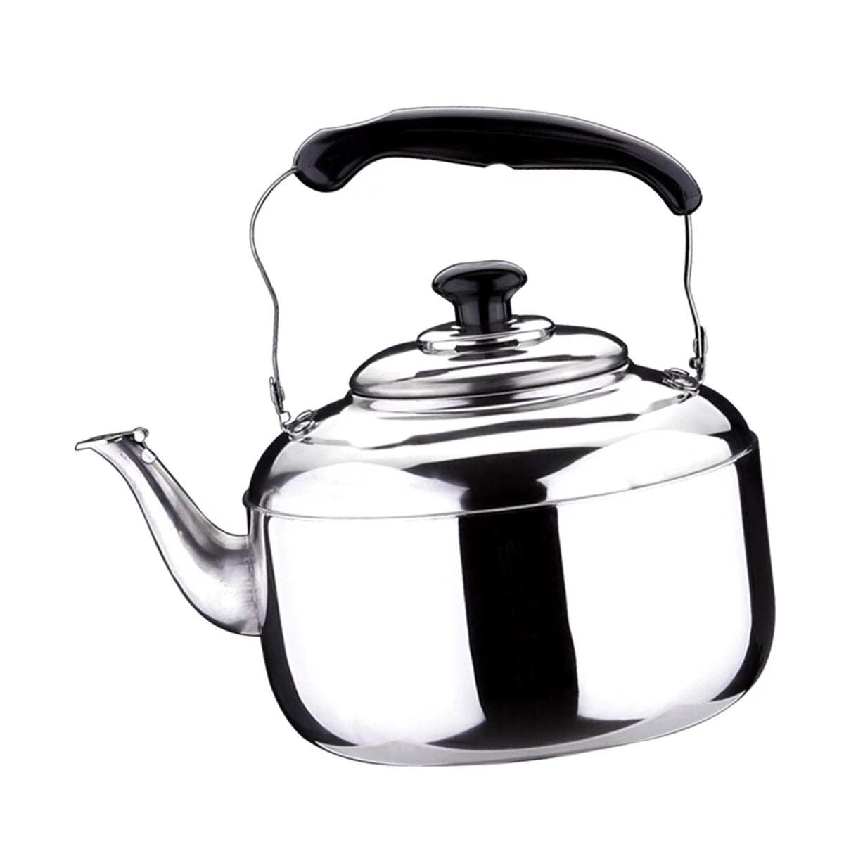 Stainless Steel 5L Stovetop Whistling Kettle L69155
