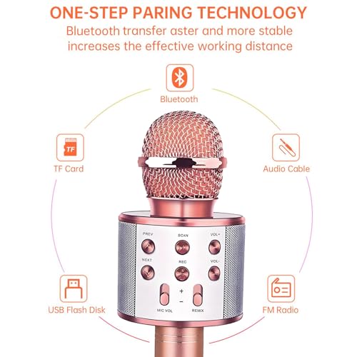 Wireless Bluetooth Karaoke Microphone 3-in-1 J623624