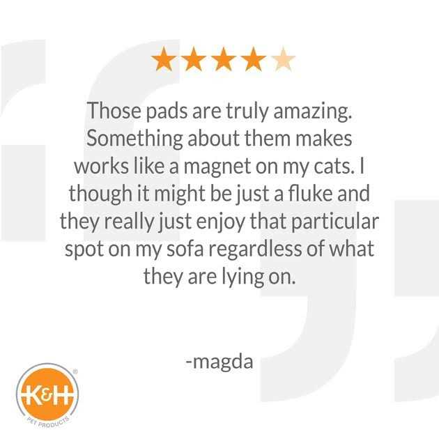 Kitty Pad S19276