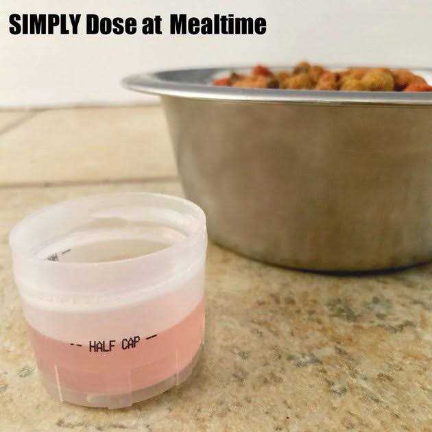 Calm & Content Support Flavor Formula for Cats P77486