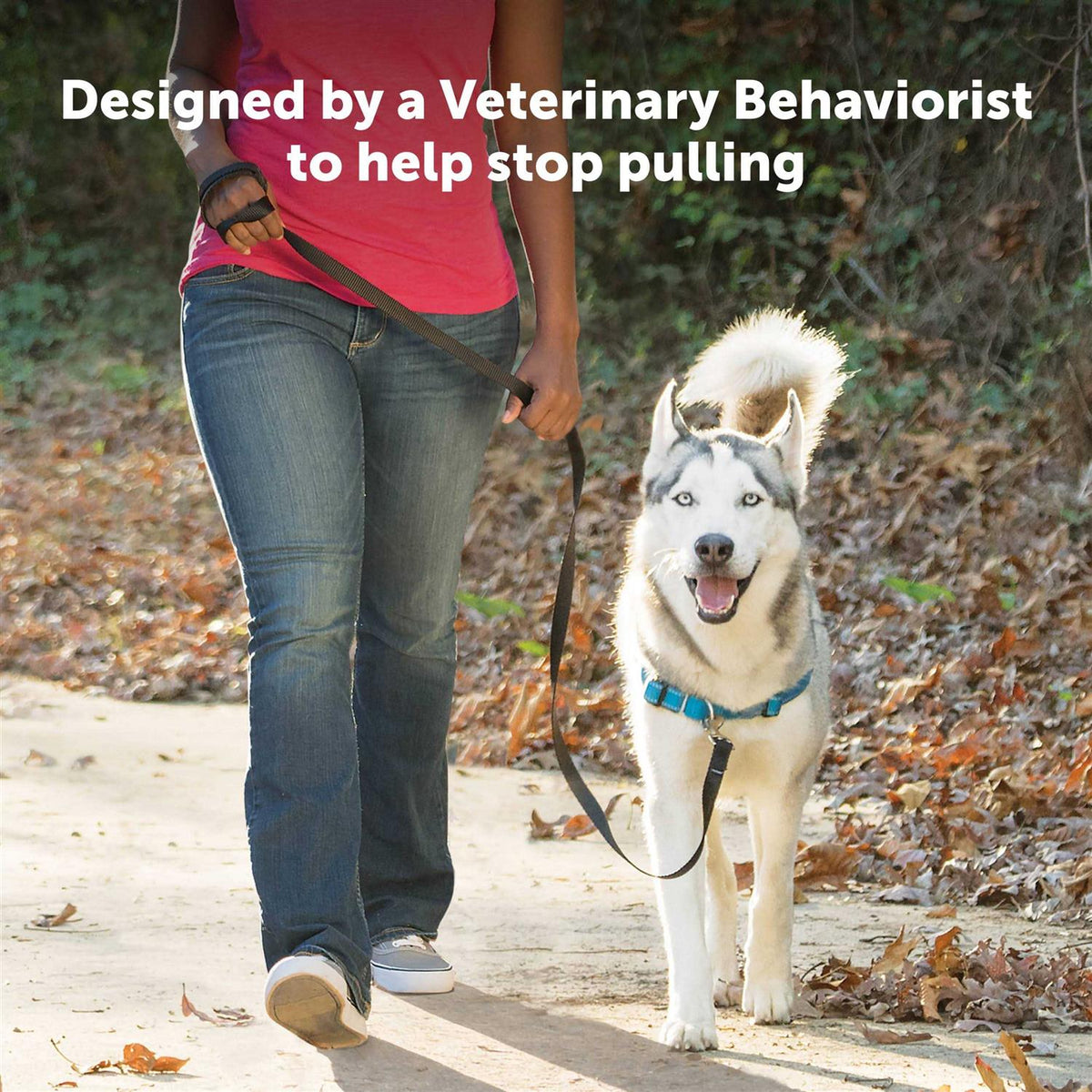 Easy Walk Harness Q44757