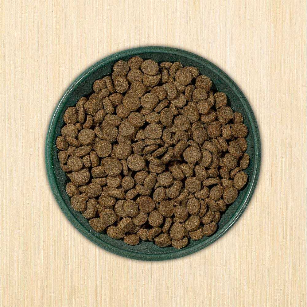 Grain-Free Dry Dog Food H78764